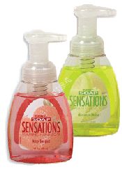 Kirby Melon Soap Sensations 8 Ounce Each