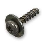 SCREW AND WASHER, DC24